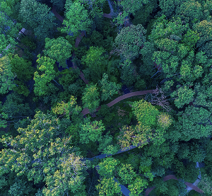 Industry trends, market updates, and changes